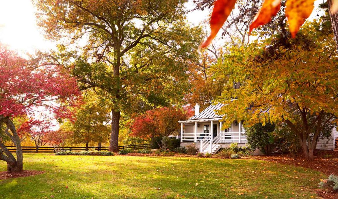 lawn care services