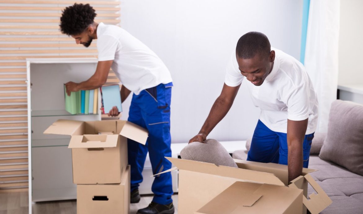 fantastic movers
